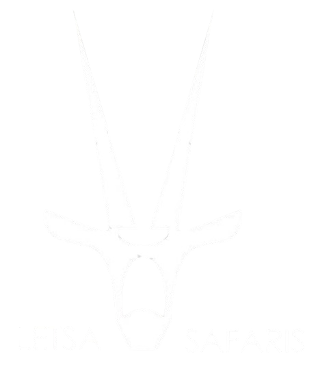 Letsa Safaris