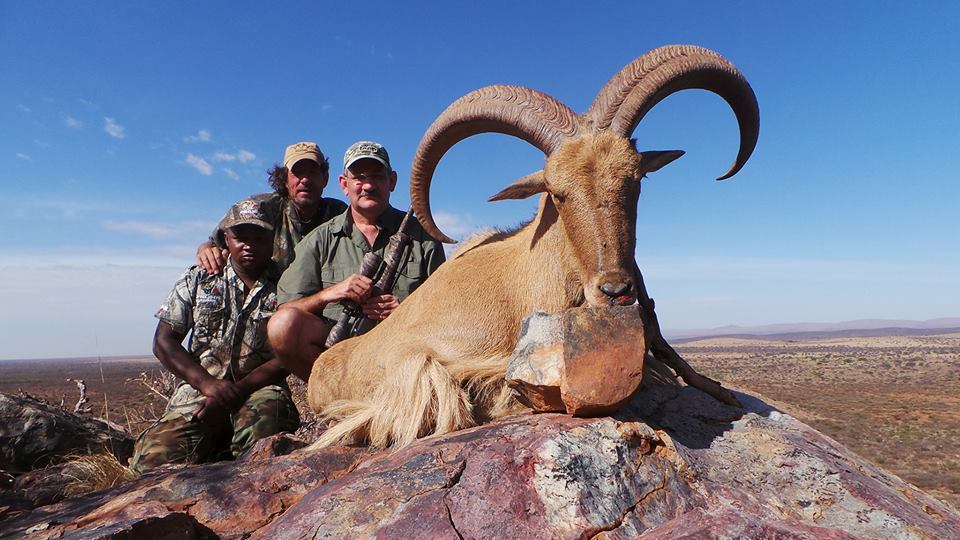 Mountain Hunting In South Africa With Pronk Safaris
