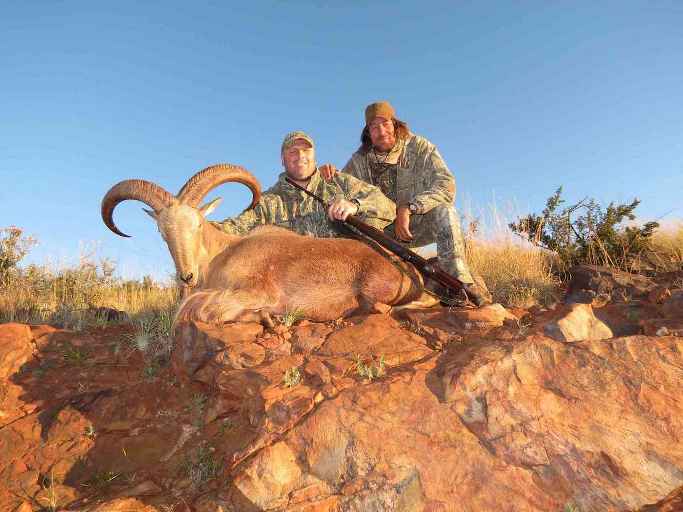 Mountain Hunting In South Africa With Pronk Safaris