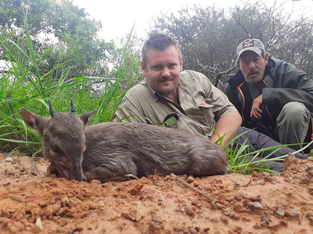 Hunting The Tiny Ten In South Africa With Pronk Safaris
