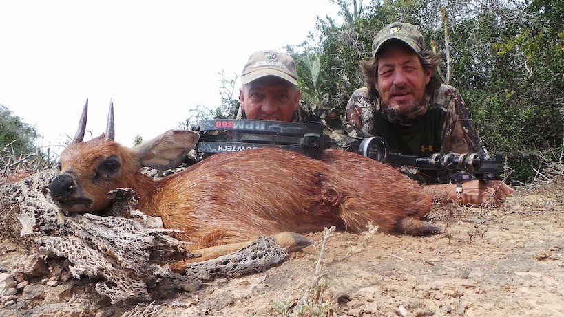 Hunting The Tiny Ten In South Africa With Pronk Safaris