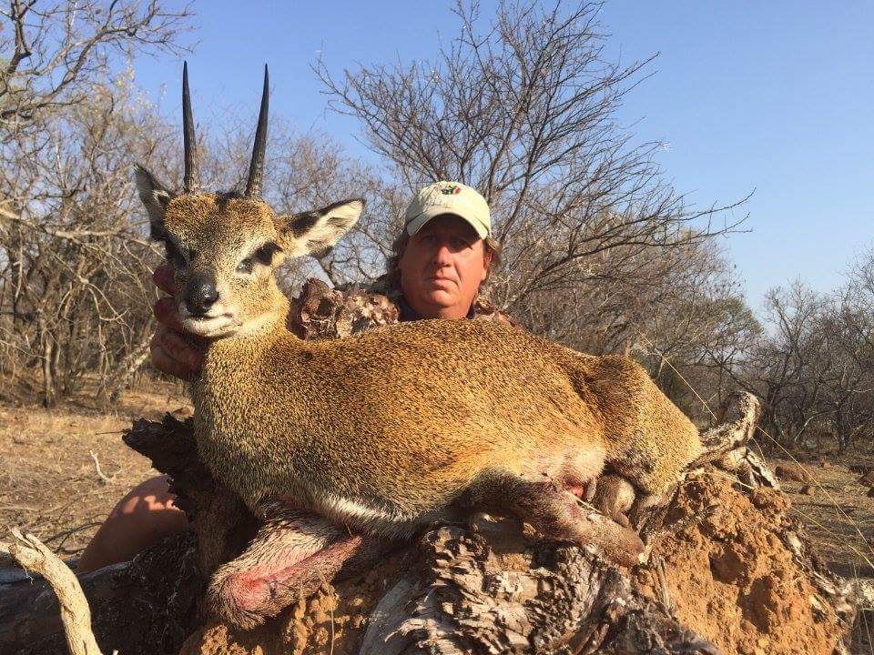 Hunting The Tiny Ten In South Africa With Pronk Safaris